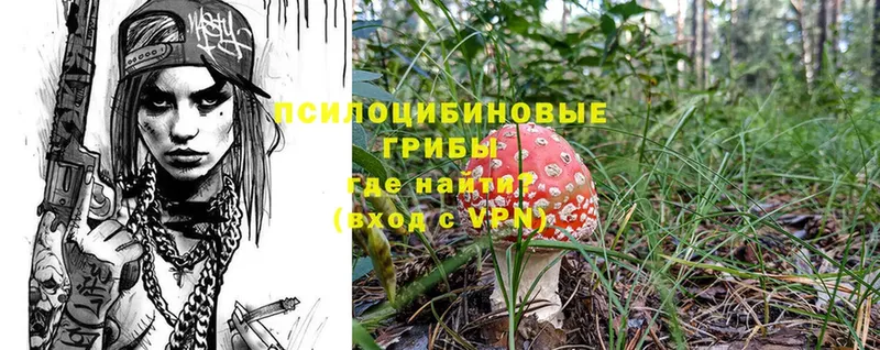 МЕГА рабочий сайт  Нефтегорск  Псилоцибиновые грибы MAGIC MUSHROOMS  наркошоп 